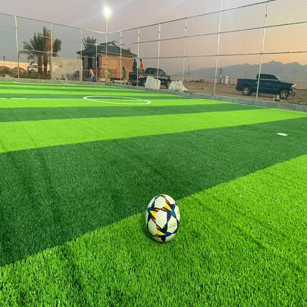 cage football grass